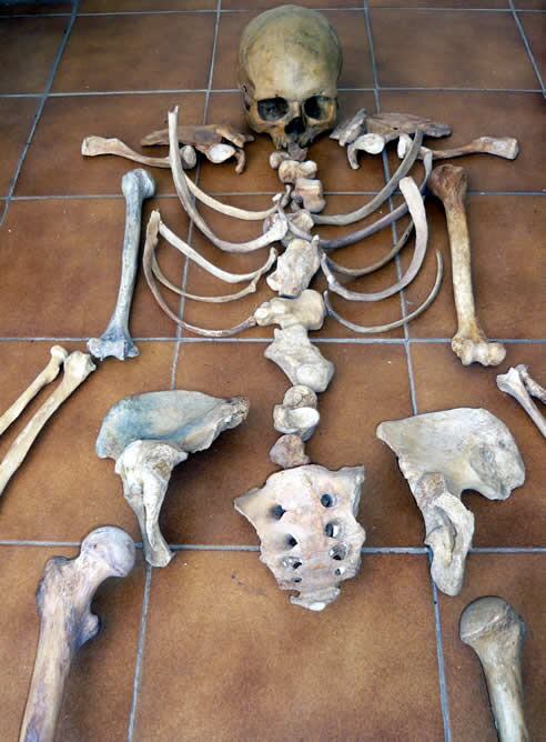 Cómo desprendernos de unos huesos que aparecen en el sótano sin meternos en un buen lío