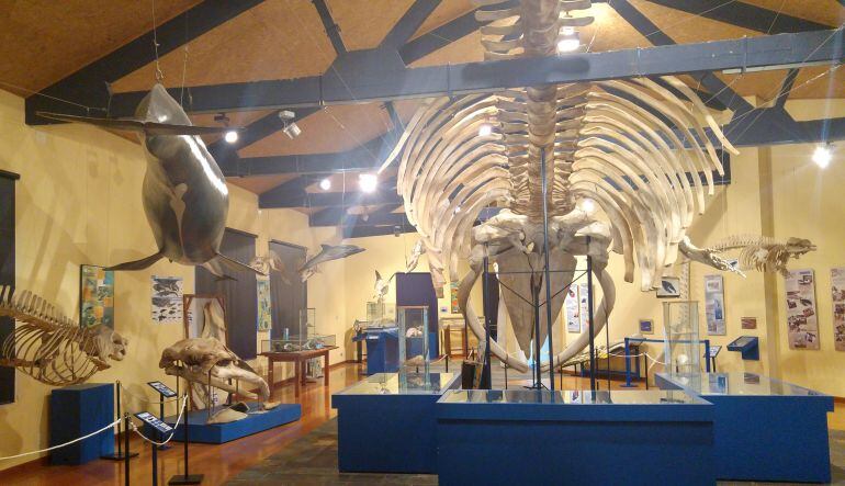 Museo da SGHN (Ferrol)