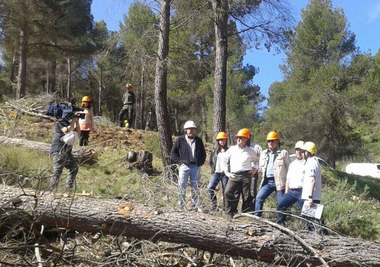 La prevención de incendios forestales ha contado con un presupuesto de 7 millones de euros