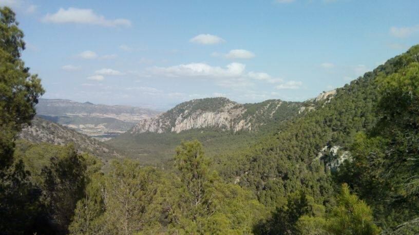 El Parque Nacional de Monte Coto es una de las rutas turísticas que proporciona el Voluntariado Ambiental