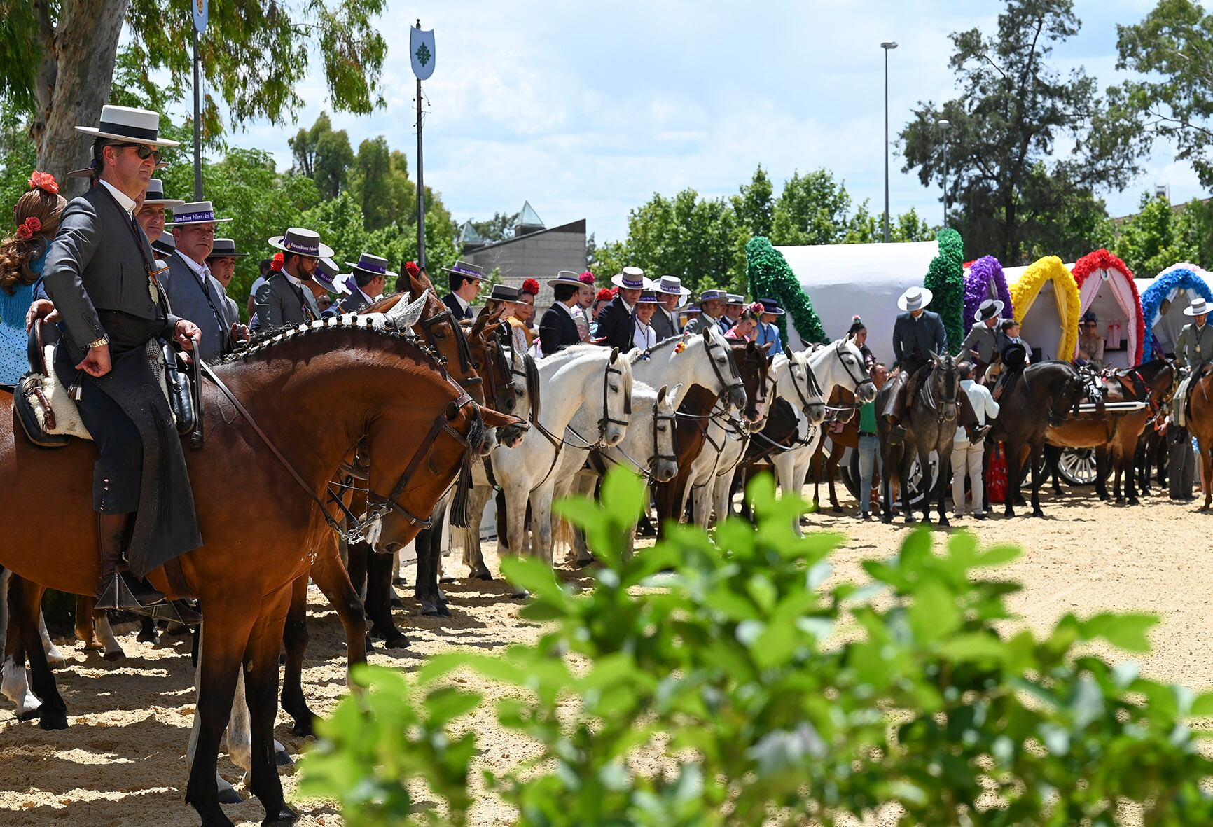 Carrozas y caballos de la Hermandad del Rocío de Jerez