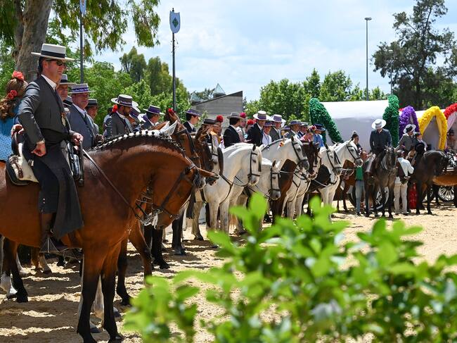 Carrozas y caballos de la Hermandad del Rocío de Jerez