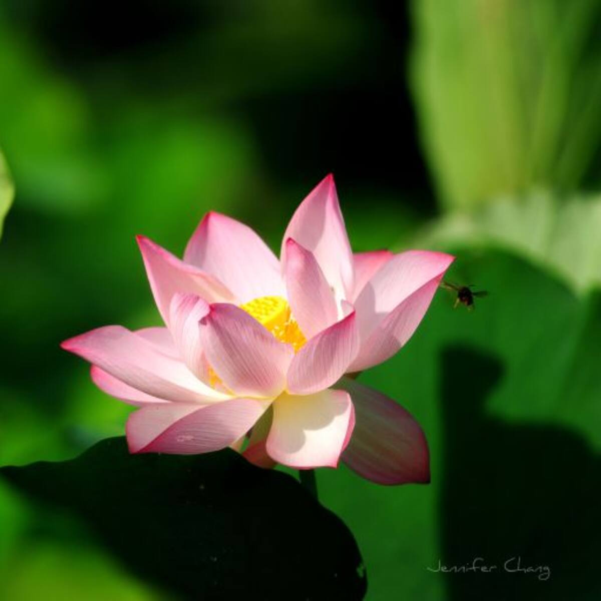 "La mort del meu pare és el pitjor i el millor que m'ha passat"