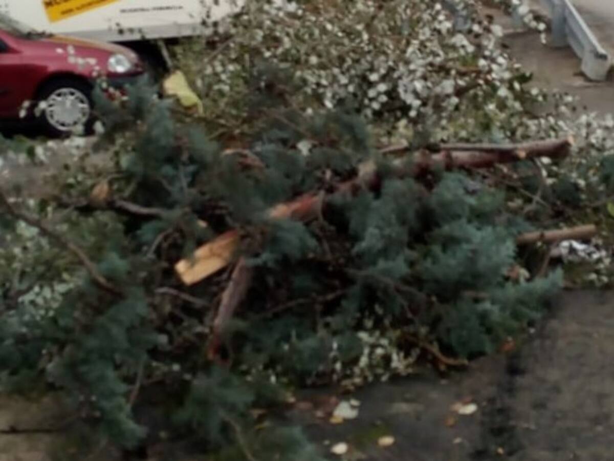 Ciudadanos pide medidas urgentes para mejorar el distrito de Loranca