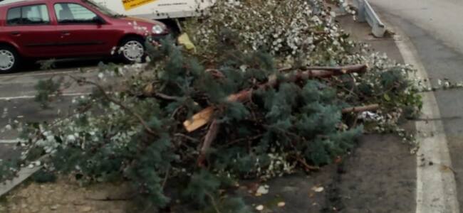 Ciudadanos denuncia el mal estado de Parque de Miraflores, Loranca y Nuevo Versalles y pide medidas urgentes.