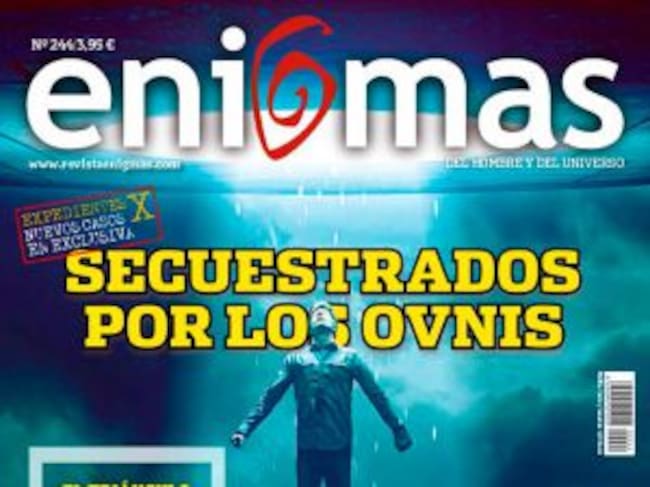 Los casos reales que inspiraron la mítica serie de televisión