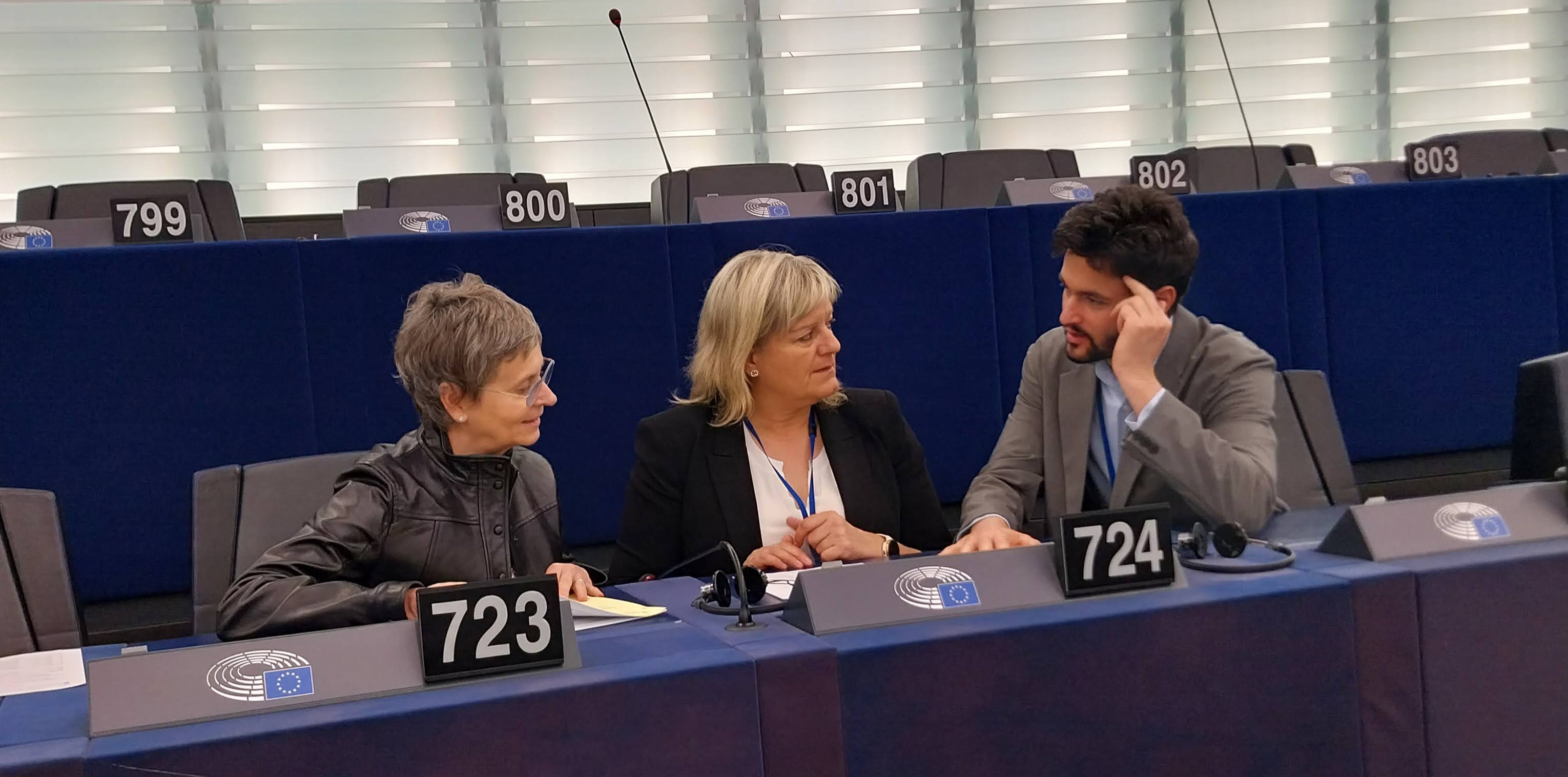 Berna Coma, Cerni Escalé i Susanna Vela són els representants nacionals a l'Assemblea de Parlamentaris del Consell d'Europa