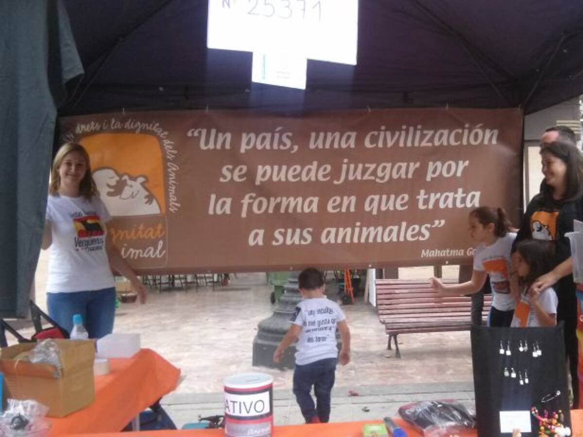 A la calle por los animales