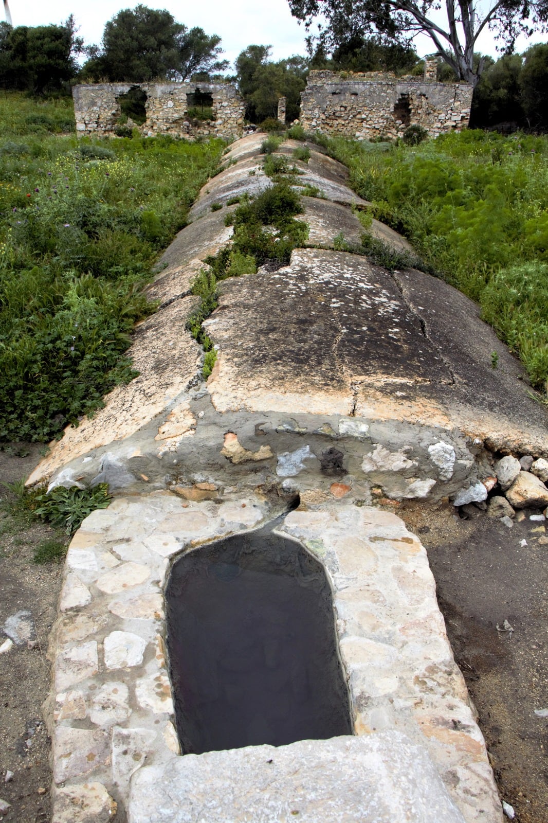 Recorrido por el Castillo de Gigonza y sus alrededores