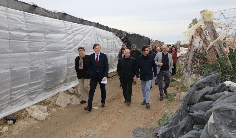 Responsables del Partido Popular visitan la zona afectada de invernaderos.