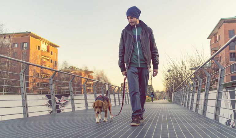 La regulación de la tenencia de animales ha sido una de las más enmendadas por los vecinos