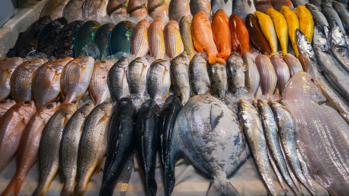Pescado blanco o pescado azul, te ayudamos a elegir