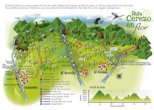 Ruta Cerezo en Flor