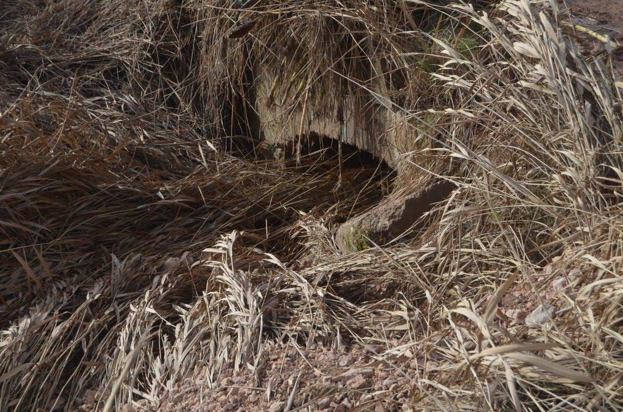 Estado de una arroyo en la comarca de Molina de Aragón