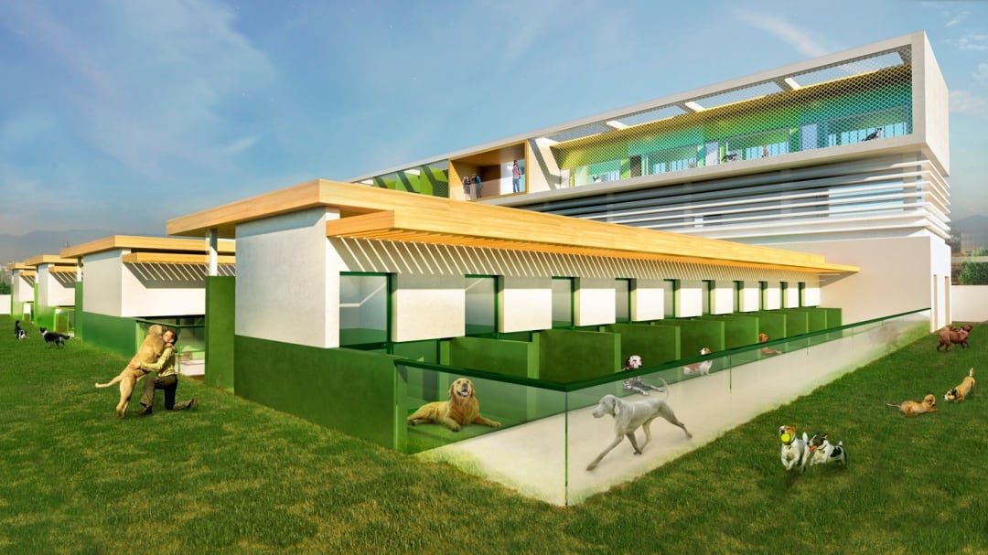 Proyecto del nuevo centro de animales abandonados de Valencia