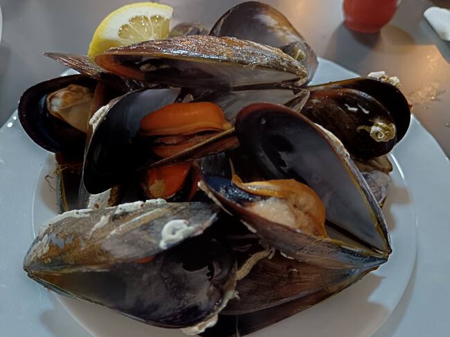 Mejillones gallegos al vapor