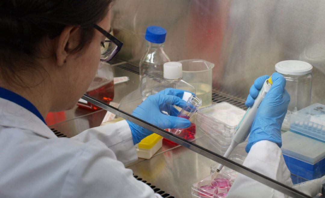 Una científica analiza una muestra.