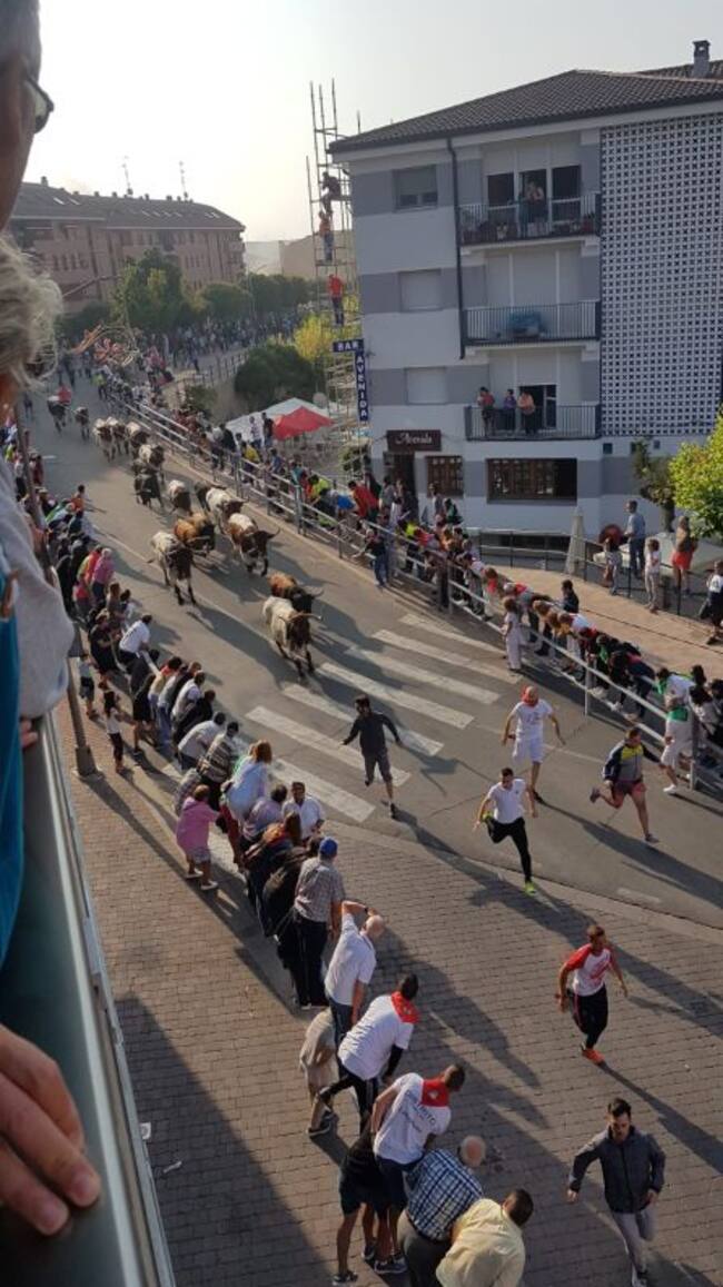 Los toros de Lagunajanda inician el recorrido urbano en la calle Resina