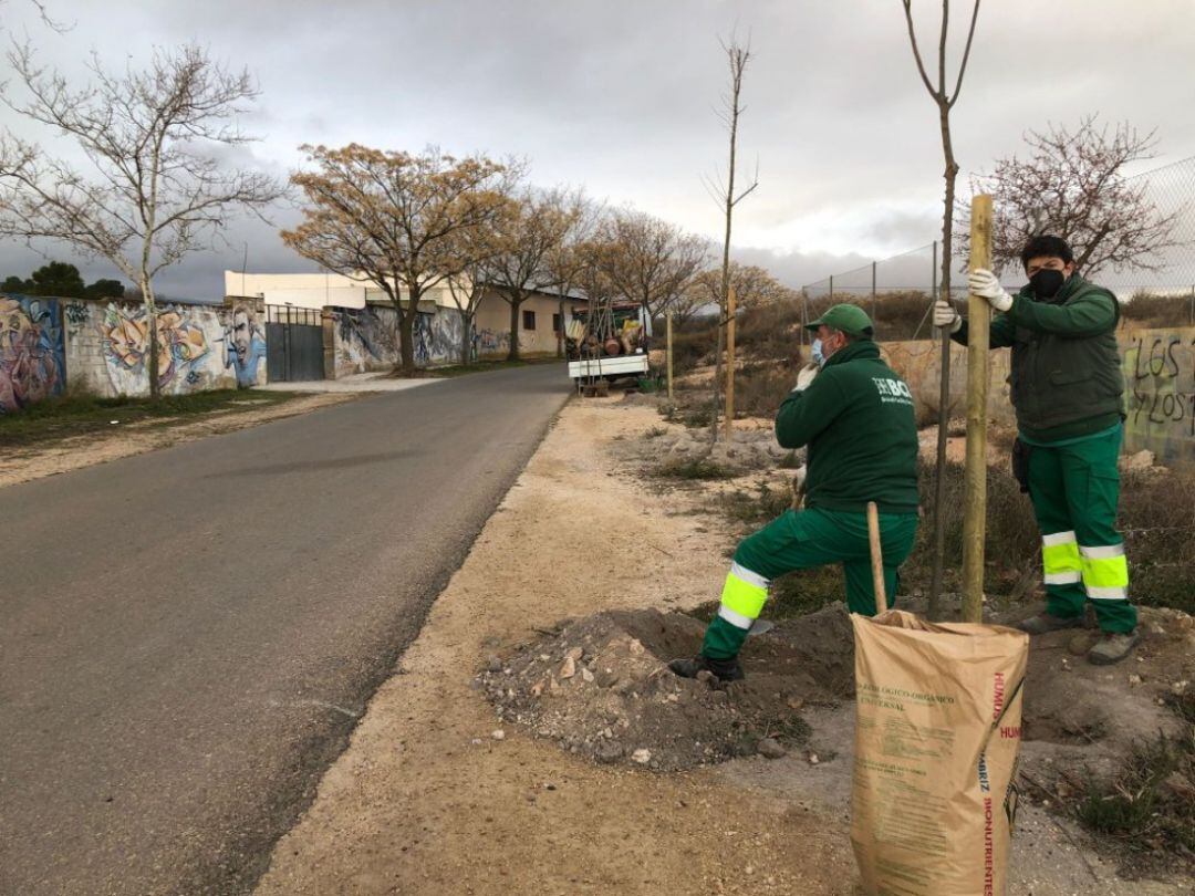 Imagen de los trabajos