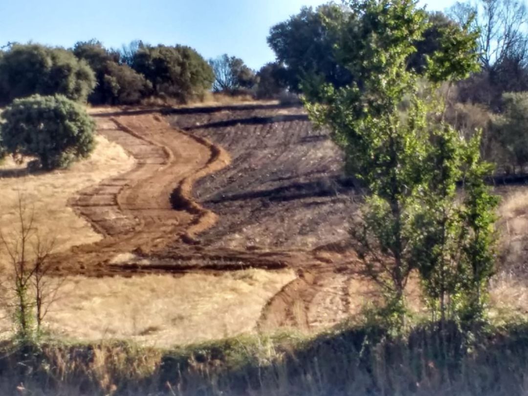 Campo de Lober tras ser repasado por un buldócer