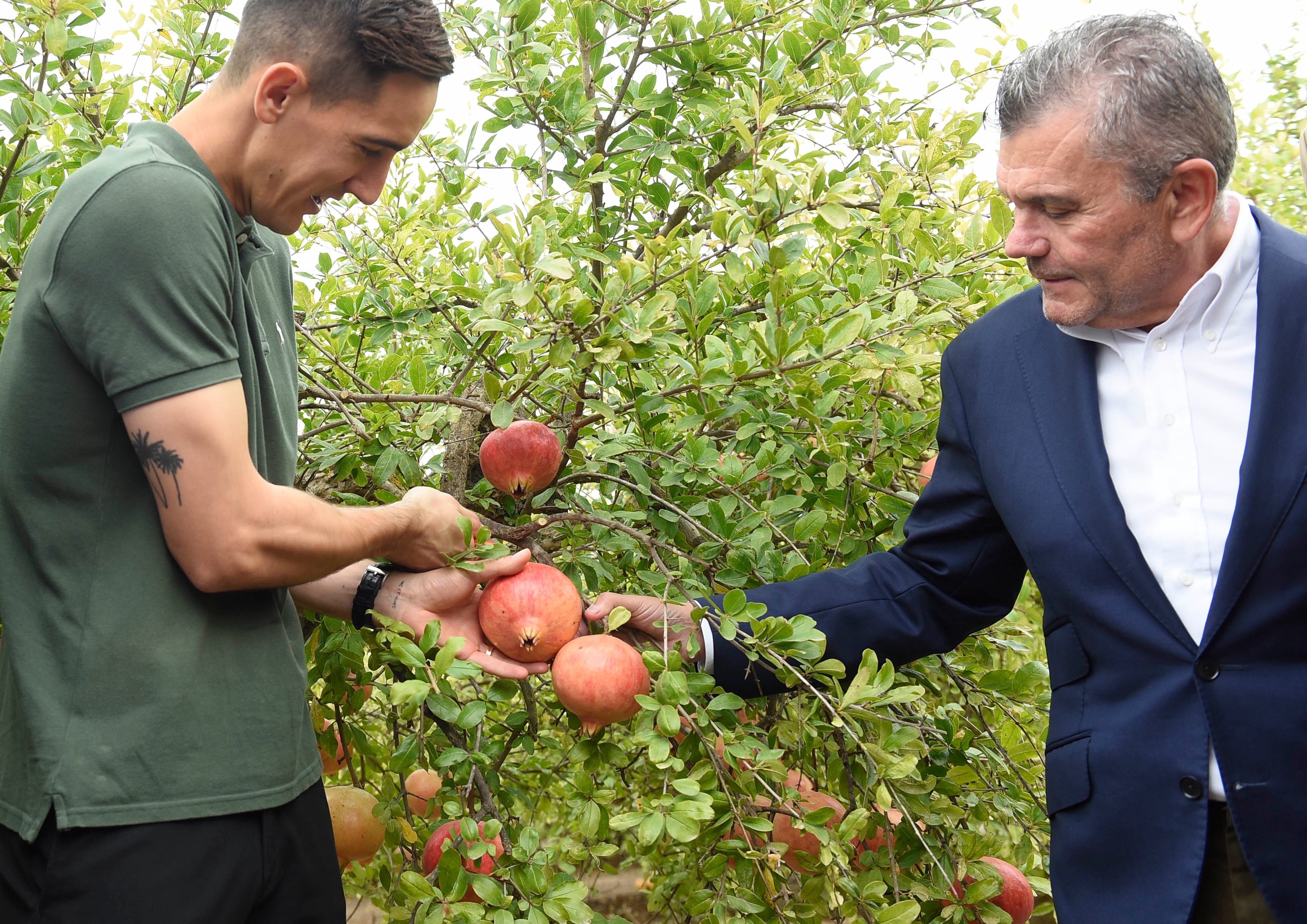 Edgar Badia, portero del Elche CF, cortando Granada Mollar