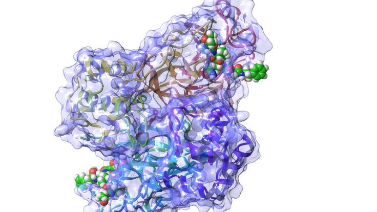 Entrevista La Ventana CV (09-04-2020)