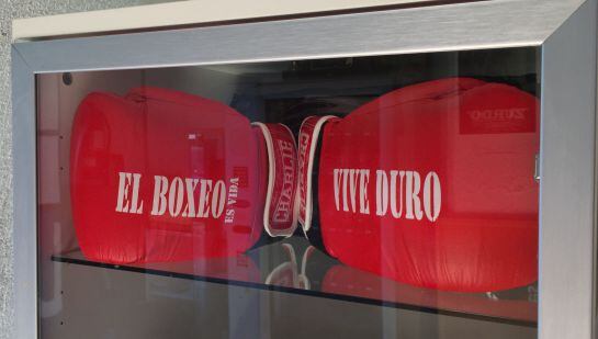 Guantes de boxeo con el lema de Jero: &#039;El boxeo es vida; vive duro&#039;