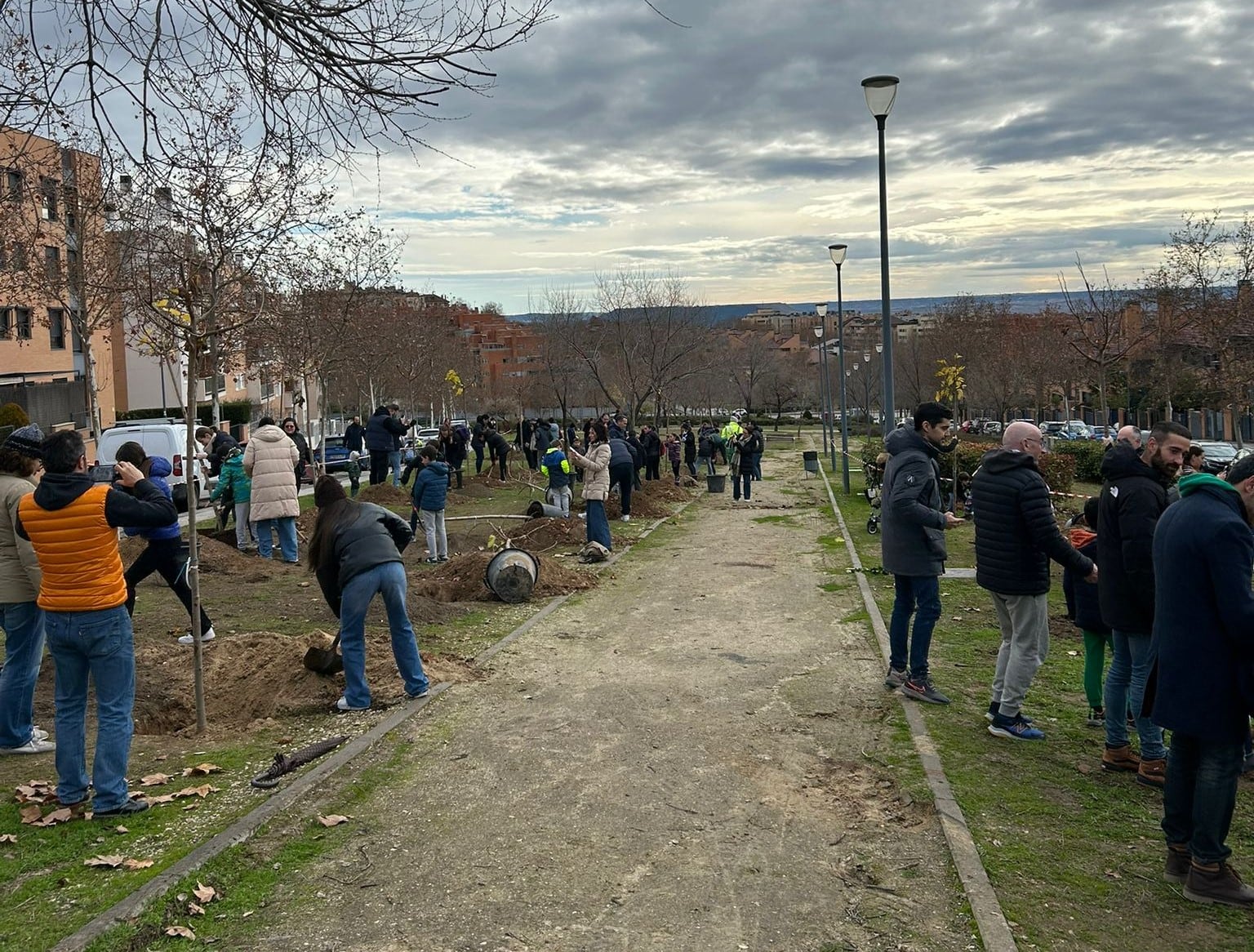 Plantación vecinal en Paracuellos de Jarama