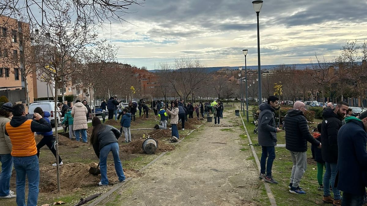 Continúa la recuperación de las zonas verdes de Paracuellos de Jarama con una nueva plantación vecinal