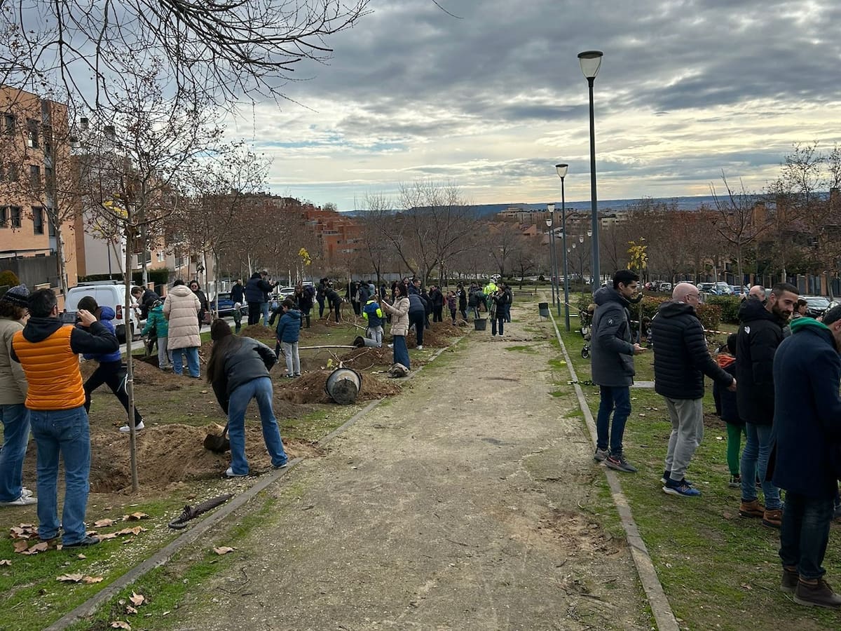 Continúa la recuperación de las zonas verdes de Paracuellos de Jarama con una nueva plantación vecinal