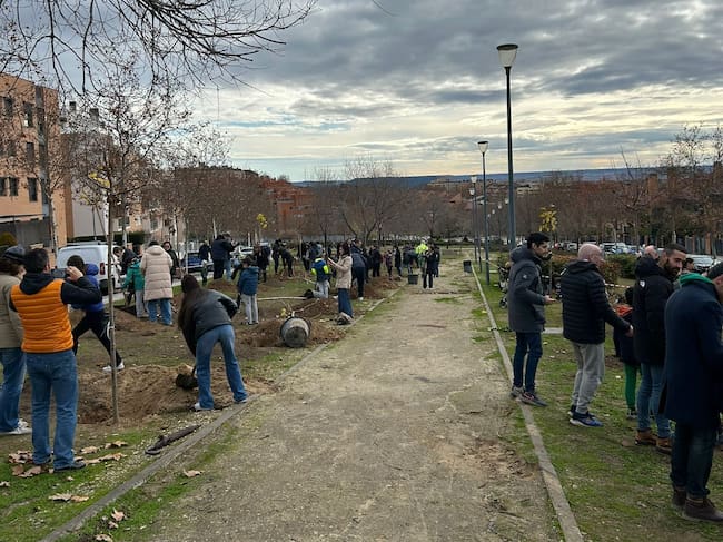 Plantación vecinal en Paracuellos de Jarama