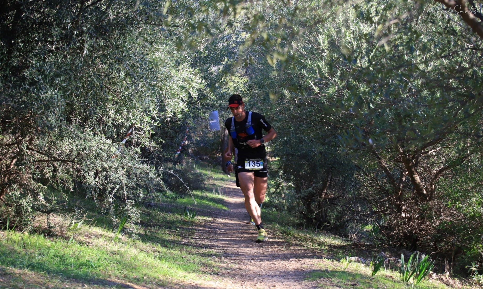 La Víbora Trail se celebra este sábado en Algodonales