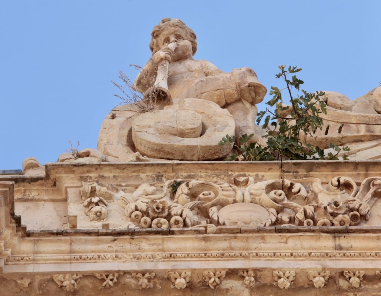 Una higuera está creciendo en una de las cornisas de la Colegiata de San Patricio de Lorca.