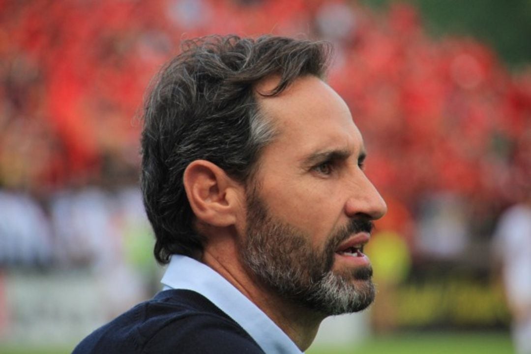 Vicente Moreno, entrenador del RCD Mallorca.