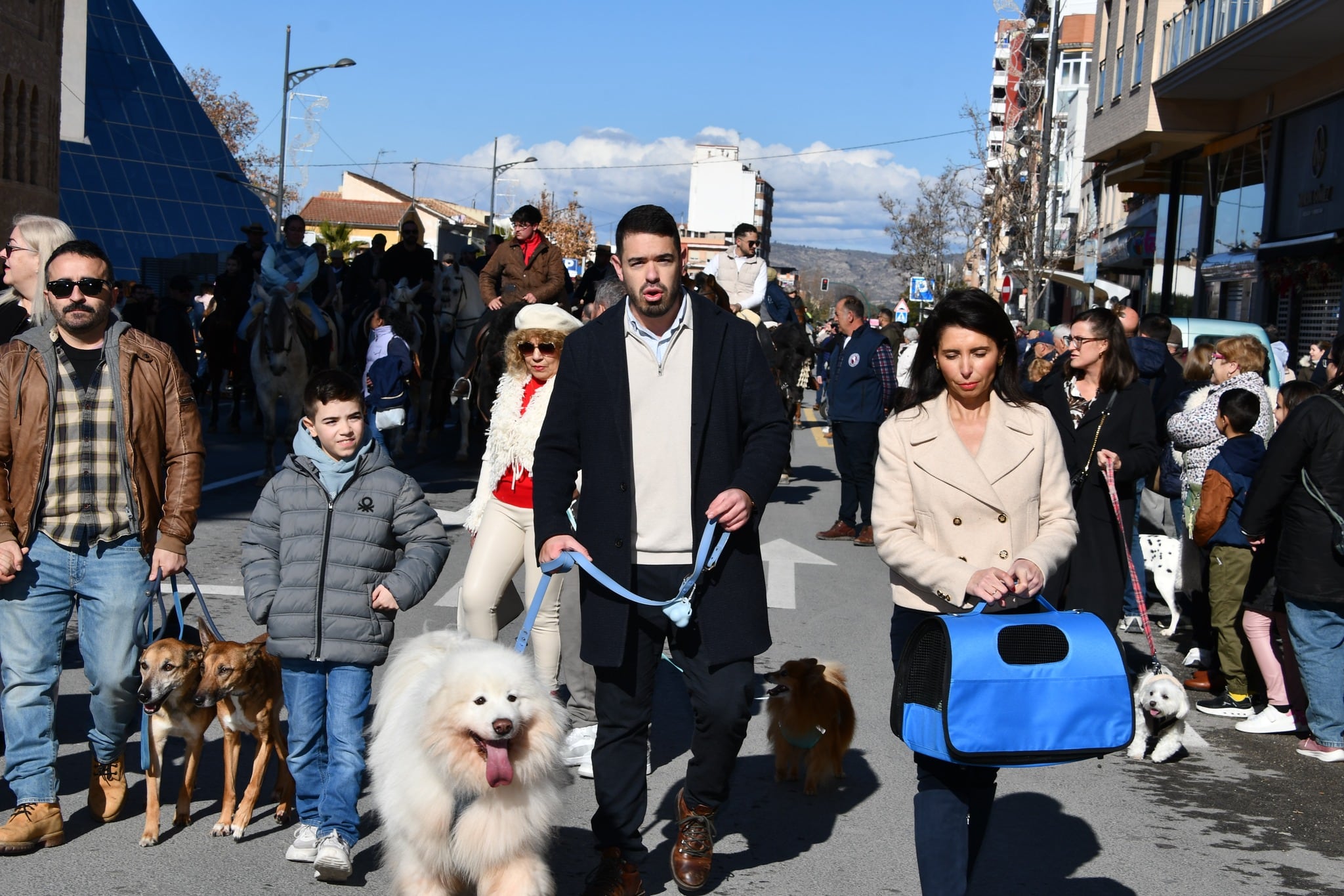 Desfile y bendición animales San Antón Villena