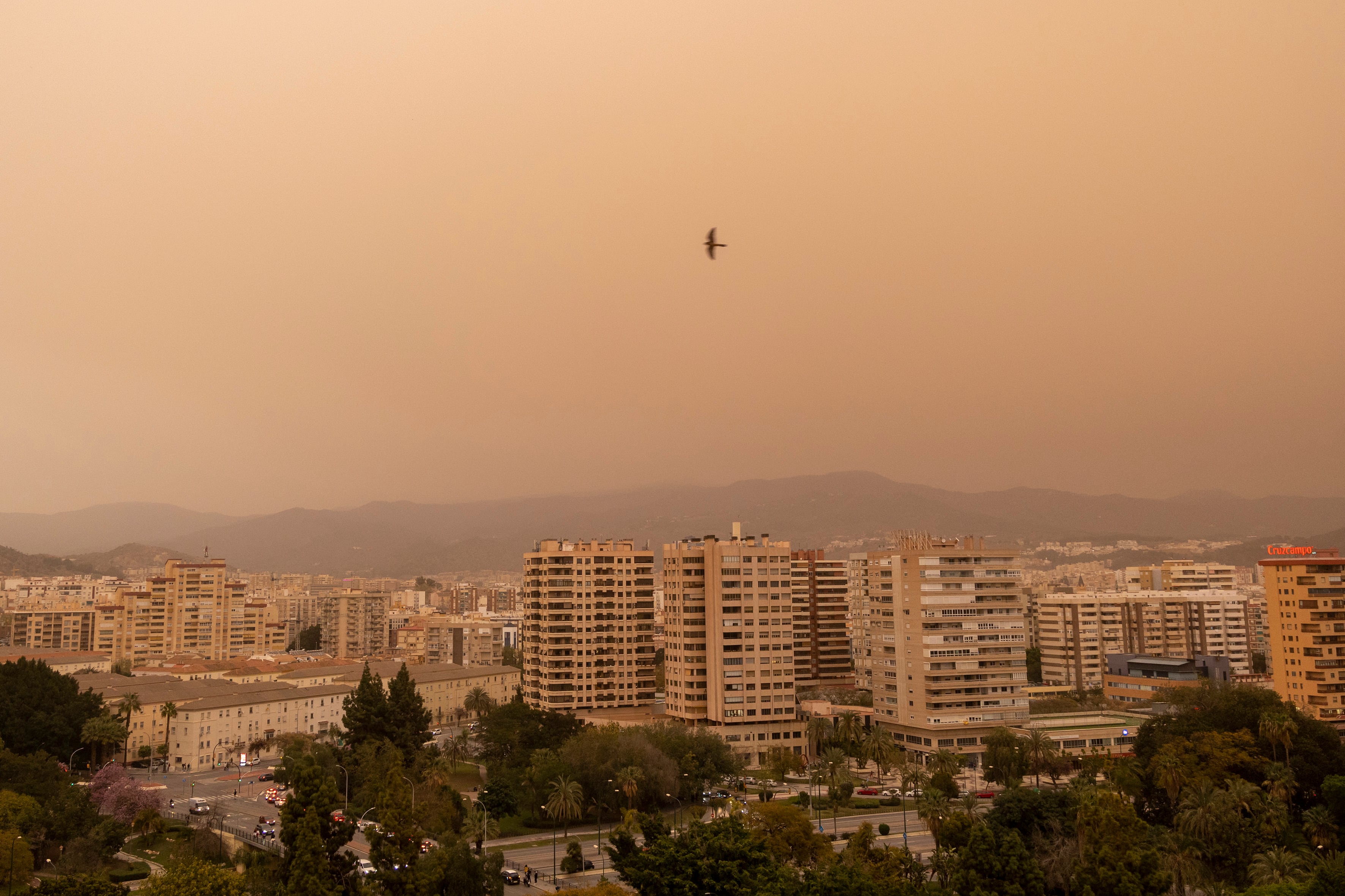 El cielo de Málaga se ha teñido de naranja, fruto de la densa concentración de polvo subsahariano en suspensión.