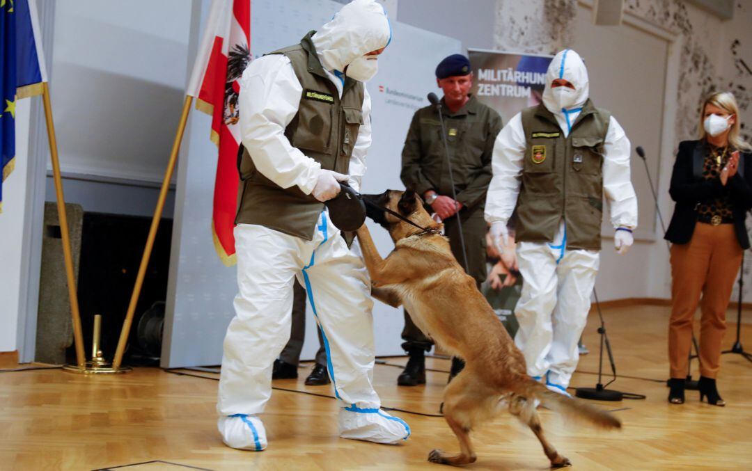 Así trabaja Fantasy.