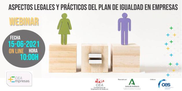 Webinar para informar a las empresas sobre los aspectos básicos que exige la Ley en relación a los Planes de Igualdad