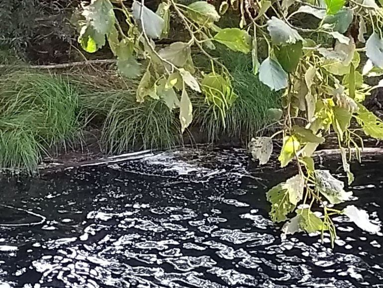 Aguas turbias del Río Tuela a su paso por Hermisende