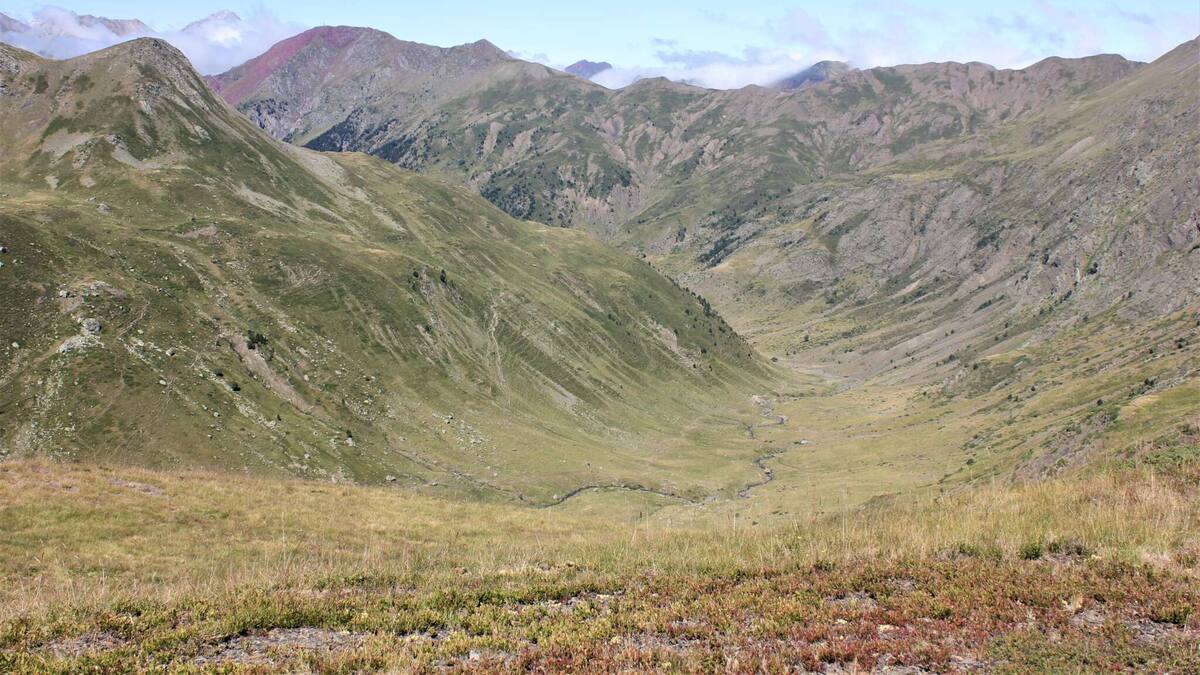 Los ecologistas irán a los tribunales para tumbar la unión de estaciones por Canal Roya