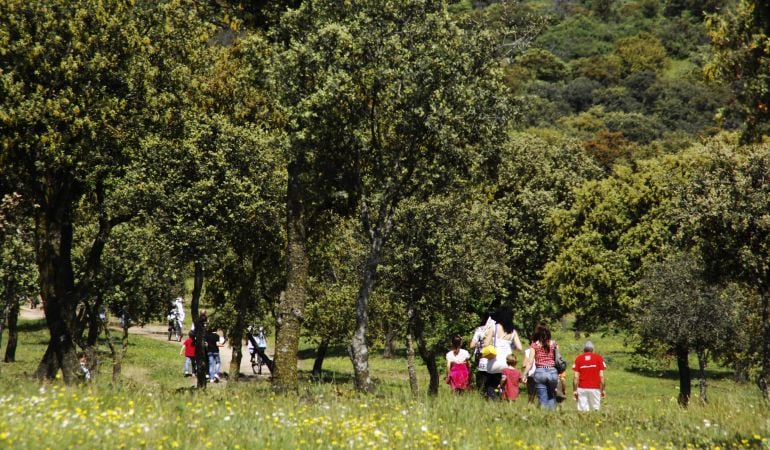 Dehesa Boyal de San Sebastián de los Reyes