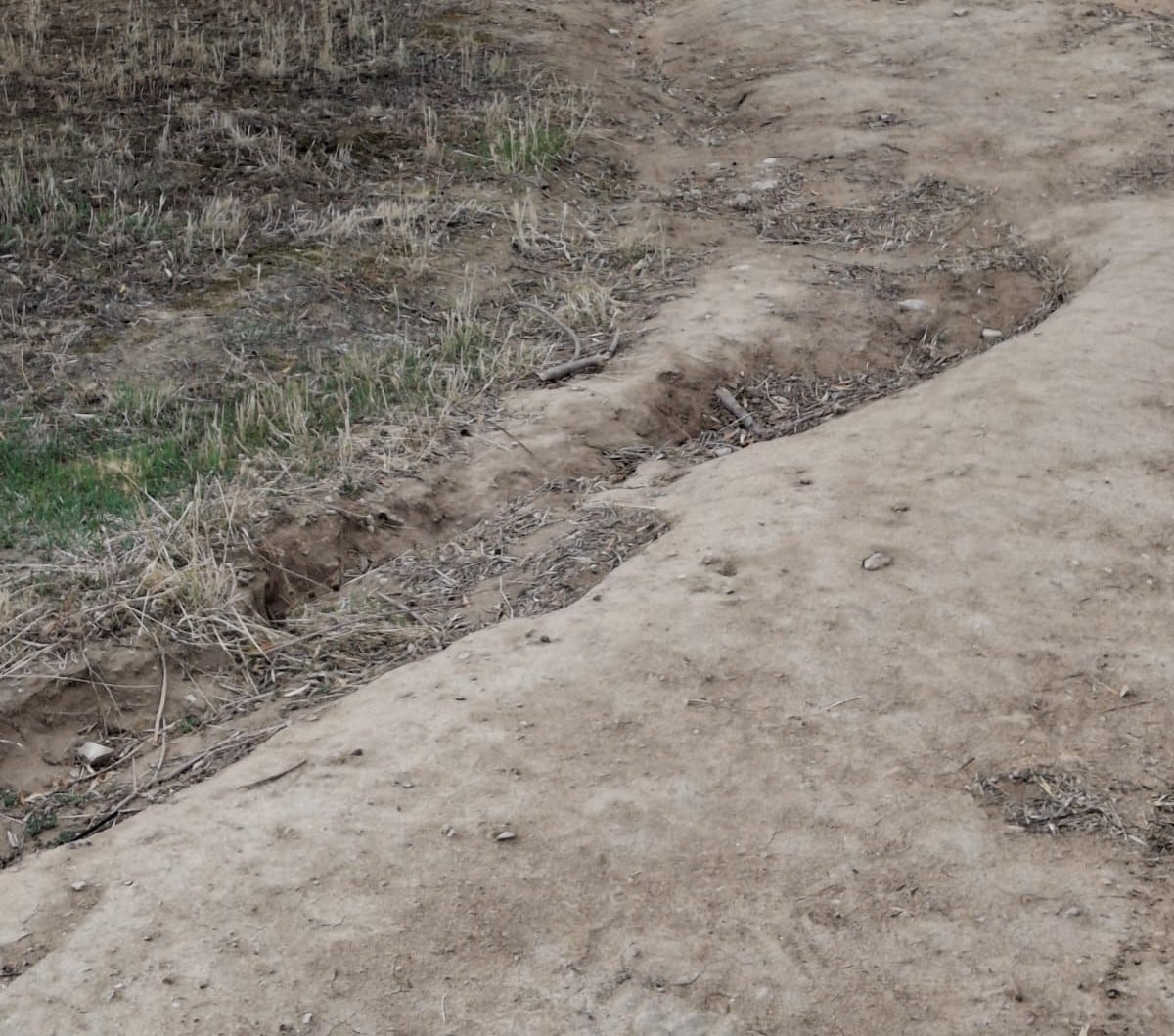 Uno de los tramos del camino de Entrecerros