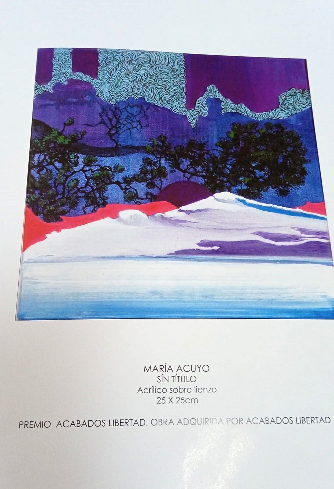 Obra de María Acuyo