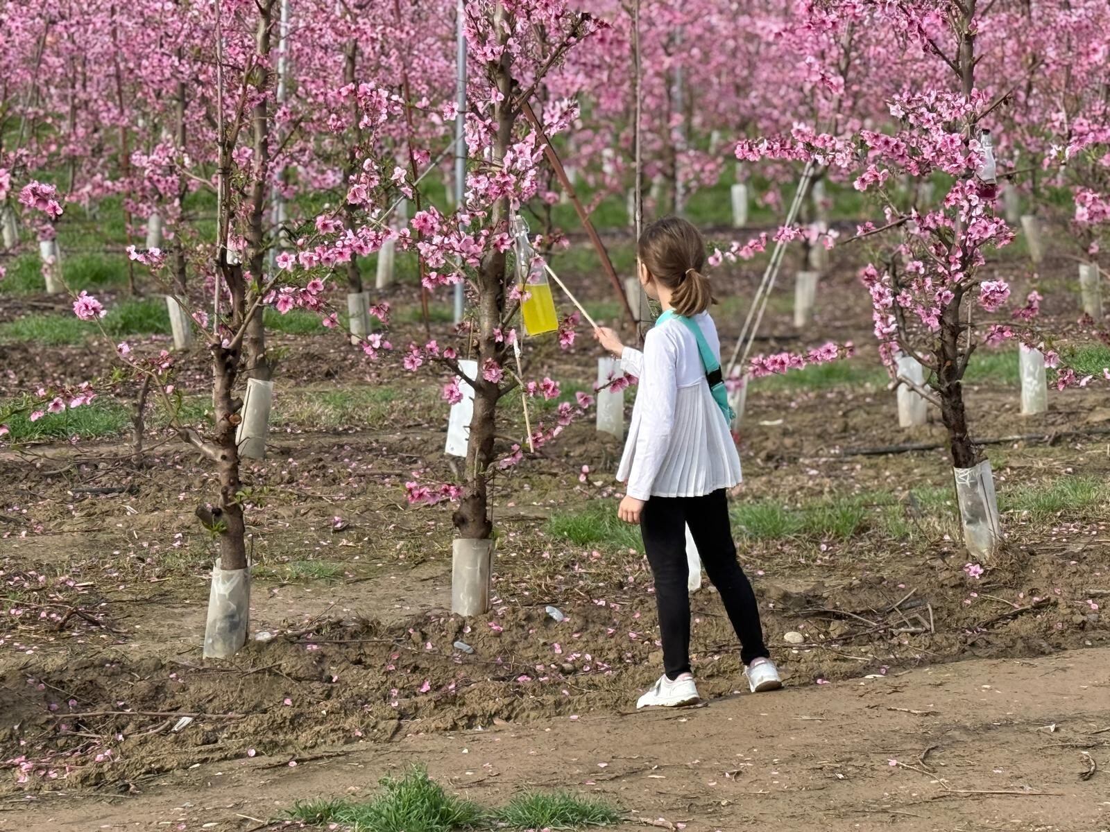 Fraga celebró la Ruta de la Floración