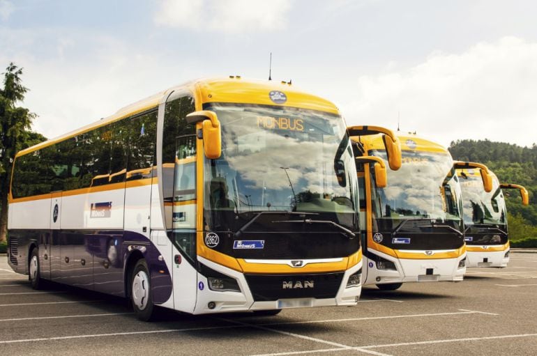 Imagen de los autobuses que realizan las nuevas rutas en la comarca Barco-Piedrahita