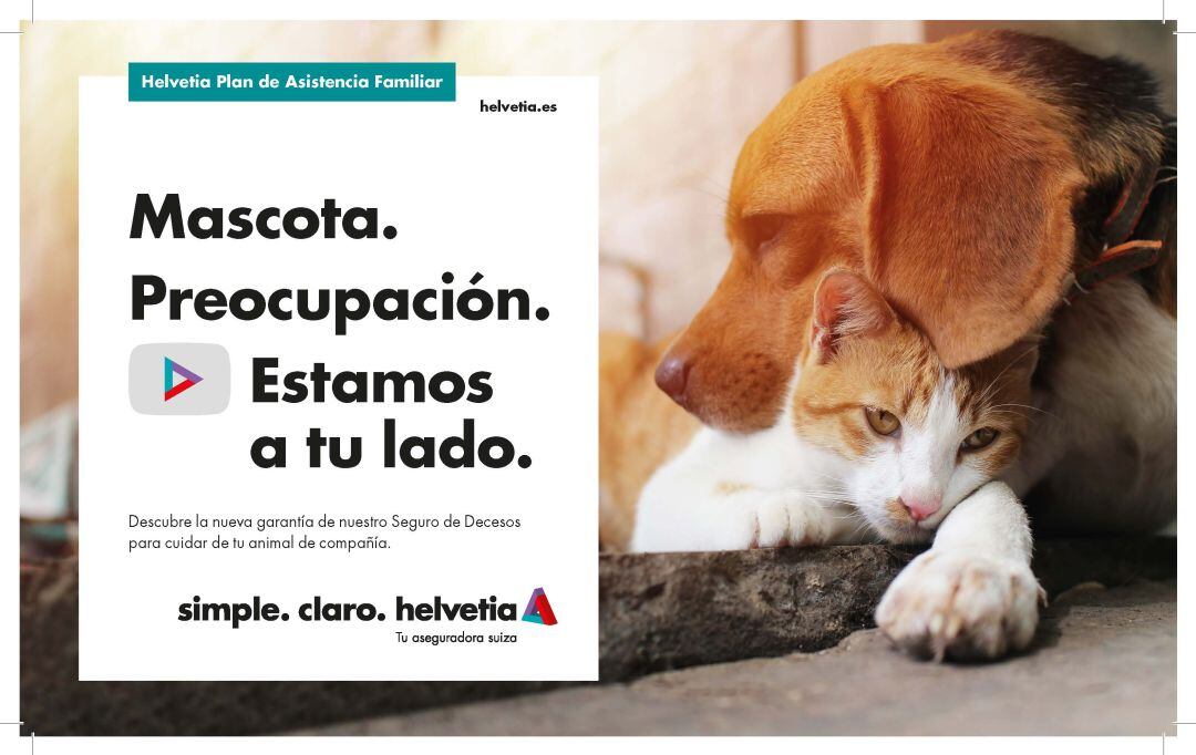 Plan de Asistencia Familiar