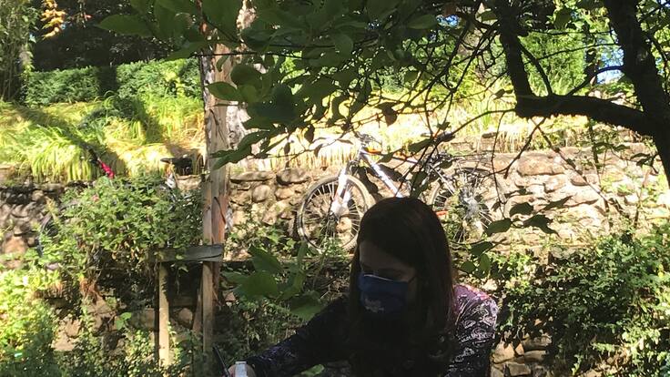 Ana Merino, premio Nadal 2020