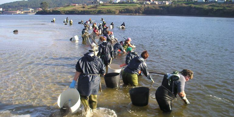 Un grupo de mariscadoras en Galicia