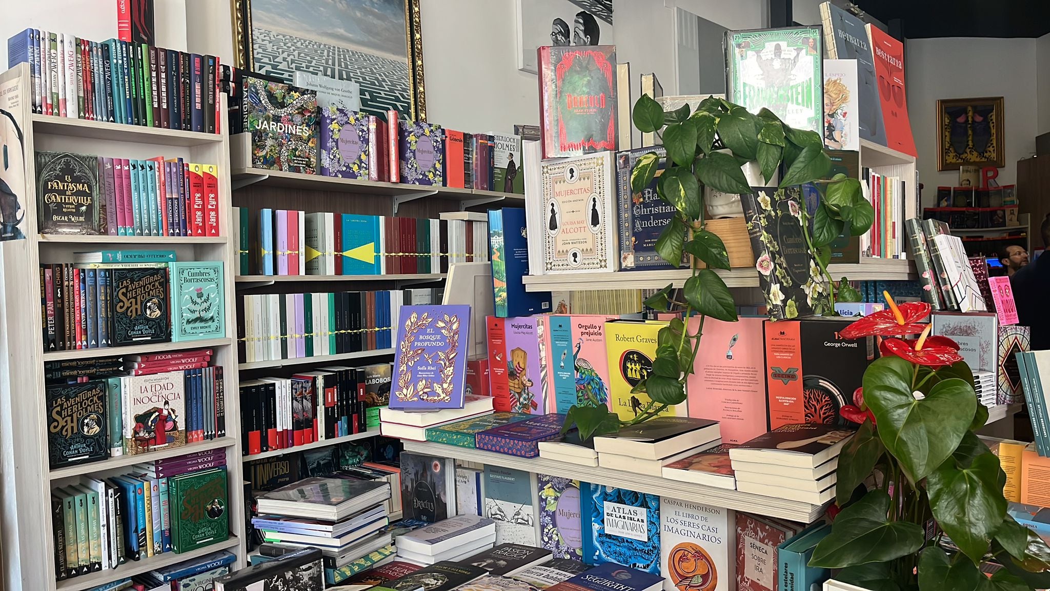 Inicio de Hoy por Hoy Cartagena desde La Montaña Mágica, el refugio de los lectores en el Día del Libro