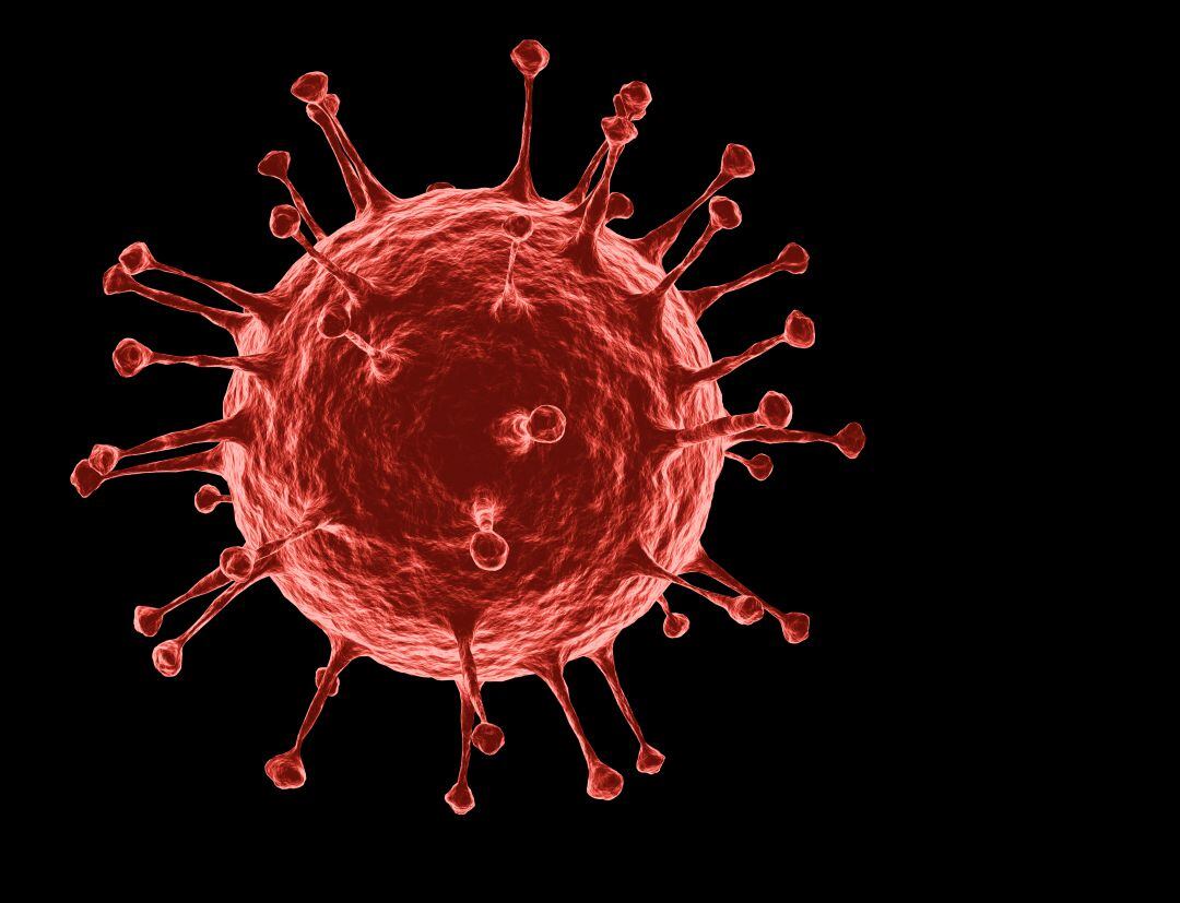 Fin de semana sin fallecidos por Covid, con 20 nuevos positivos este domingo